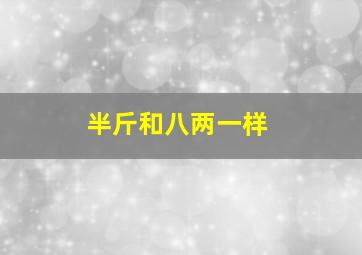 半斤和八两一样