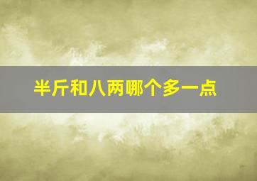 半斤和八两哪个多一点