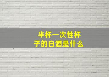 半杯一次性杯子的白酒是什么