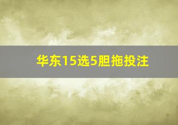 华东15选5胆拖投注