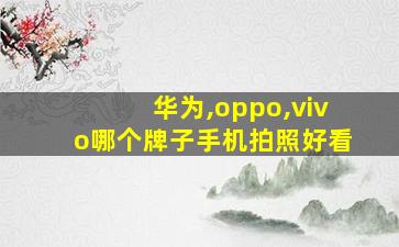 华为,oppo,vivo哪个牌子手机拍照好看