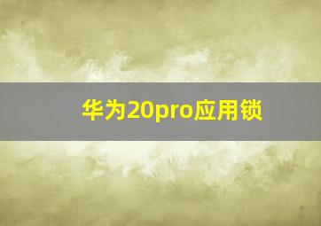 华为20pro应用锁