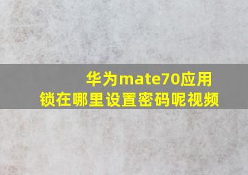 华为mate70应用锁在哪里设置密码呢视频