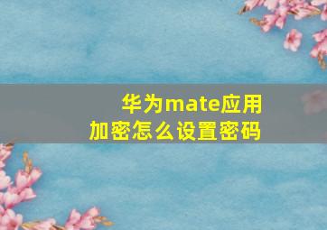 华为mate应用加密怎么设置密码