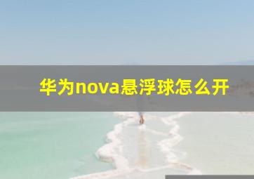 华为nova悬浮球怎么开