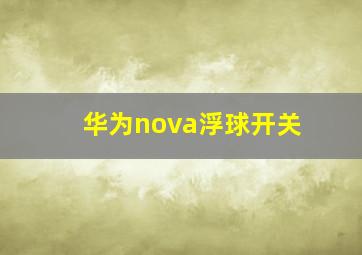 华为nova浮球开关