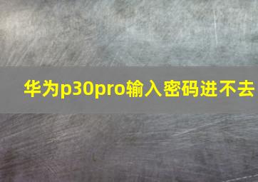 华为p30pro输入密码进不去