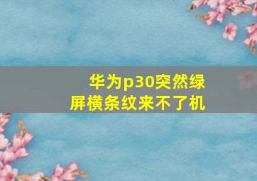 华为p30突然绿屏横条纹来不了机