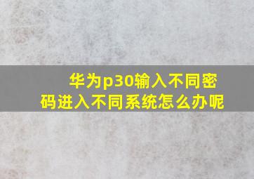 华为p30输入不同密码进入不同系统怎么办呢