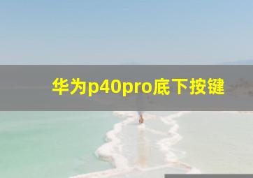 华为p40pro底下按键