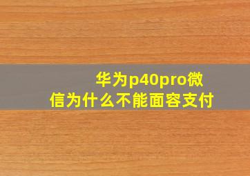 华为p40pro微信为什么不能面容支付