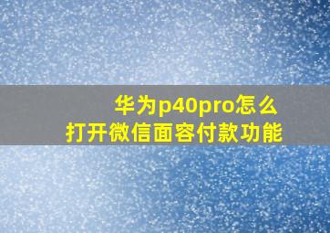 华为p40pro怎么打开微信面容付款功能