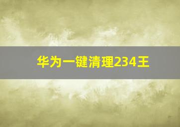 华为一键清理234王