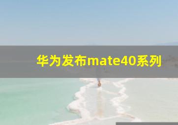 华为发布mate40系列