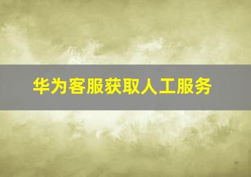 华为客服获取人工服务