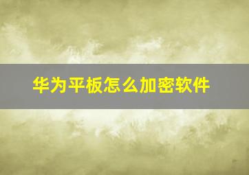 华为平板怎么加密软件