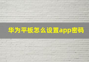 华为平板怎么设置app密码