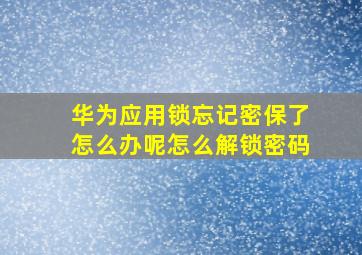 华为应用锁忘记密保了怎么办呢怎么解锁密码