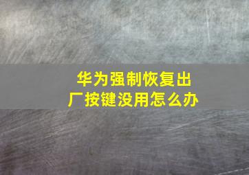 华为强制恢复出厂按键没用怎么办