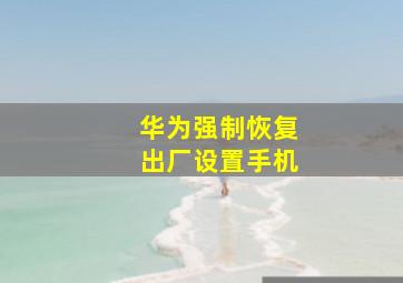 华为强制恢复出厂设置手机