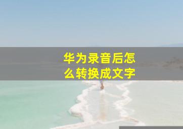 华为录音后怎么转换成文字