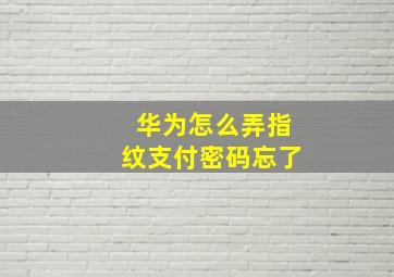 华为怎么弄指纹支付密码忘了