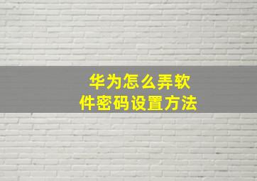 华为怎么弄软件密码设置方法