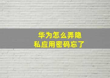 华为怎么弄隐私应用密码忘了