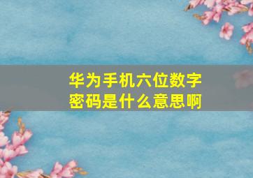 华为手机六位数字密码是什么意思啊