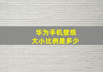 华为手机壁纸大小比例是多少