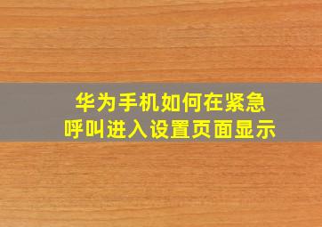 华为手机如何在紧急呼叫进入设置页面显示