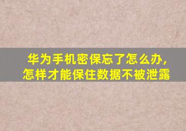 华为手机密保忘了怎么办,怎样才能保住数据不被泄露