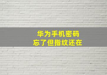 华为手机密码忘了但指纹还在