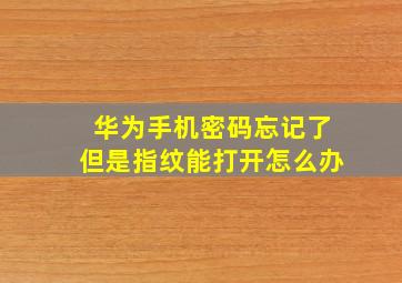 华为手机密码忘记了但是指纹能打开怎么办