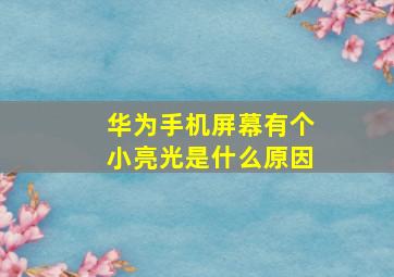 华为手机屏幕有个小亮光是什么原因