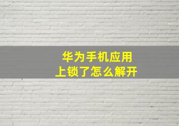 华为手机应用上锁了怎么解开