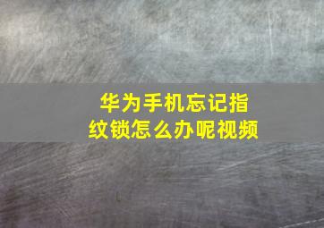 华为手机忘记指纹锁怎么办呢视频