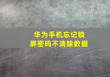 华为手机忘记锁屏密码不清除数据