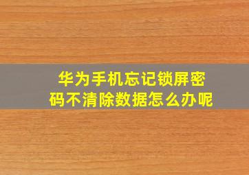 华为手机忘记锁屏密码不清除数据怎么办呢