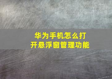 华为手机怎么打开悬浮窗管理功能