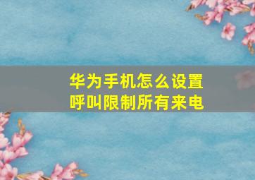 华为手机怎么设置呼叫限制所有来电