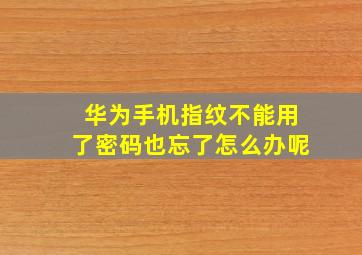 华为手机指纹不能用了密码也忘了怎么办呢