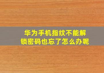 华为手机指纹不能解锁密码也忘了怎么办呢