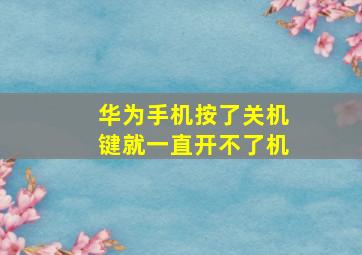 华为手机按了关机键就一直开不了机