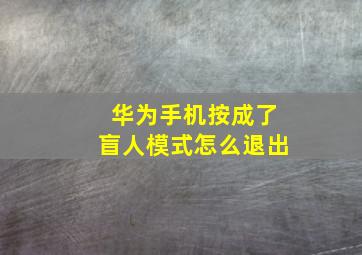 华为手机按成了盲人模式怎么退出