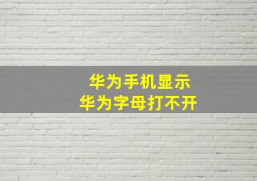 华为手机显示华为字母打不开