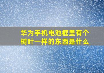 华为手机电池框里有个树叶一样的东西是什么