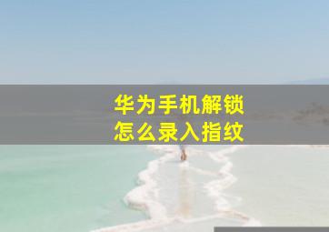 华为手机解锁怎么录入指纹