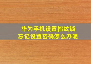 华为手机设置指纹锁忘记设置密码怎么办呢