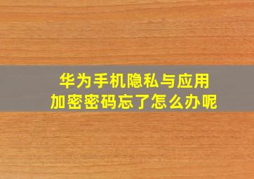 华为手机隐私与应用加密密码忘了怎么办呢